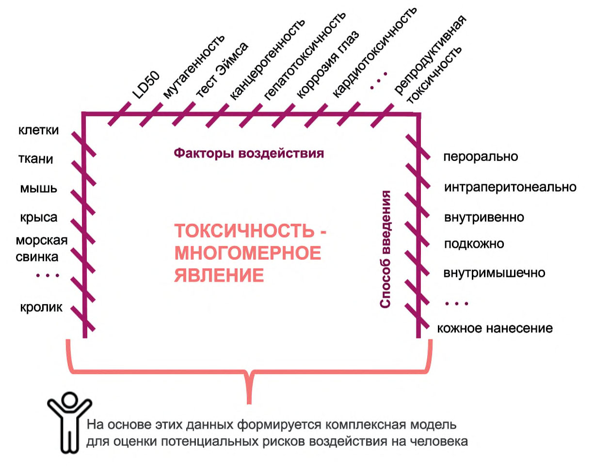 Изображение на обложке