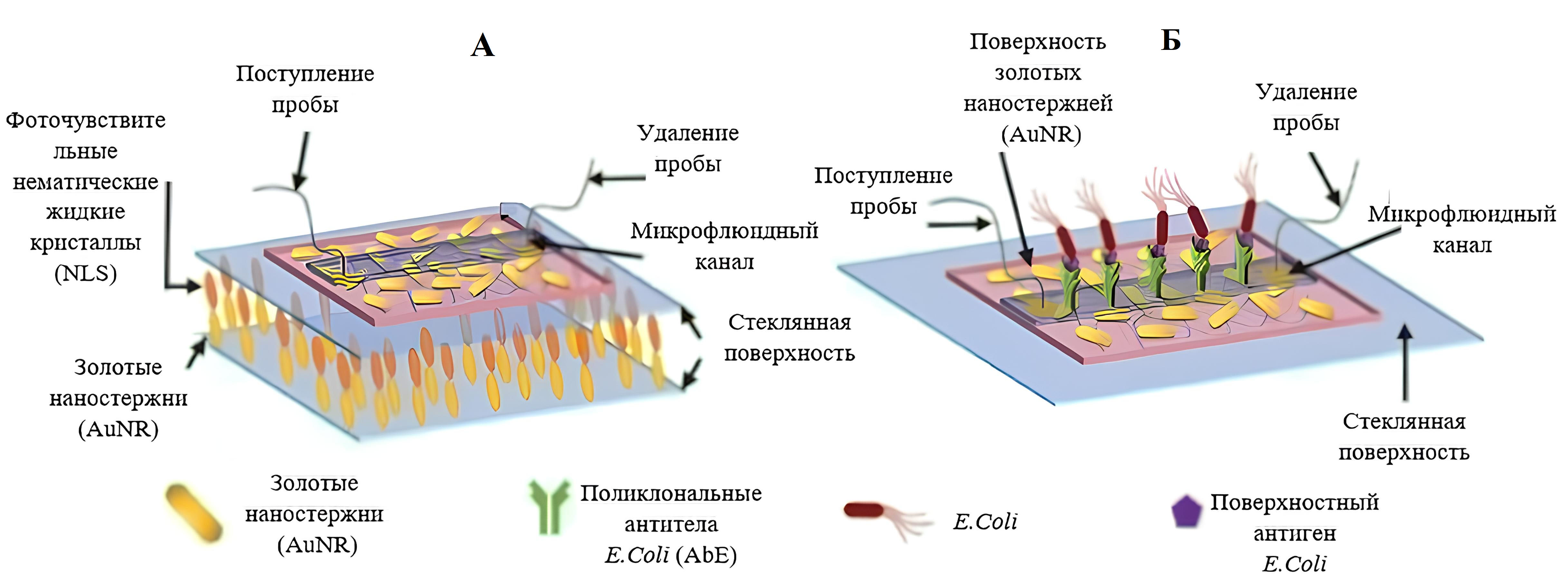 Изображение на обложке